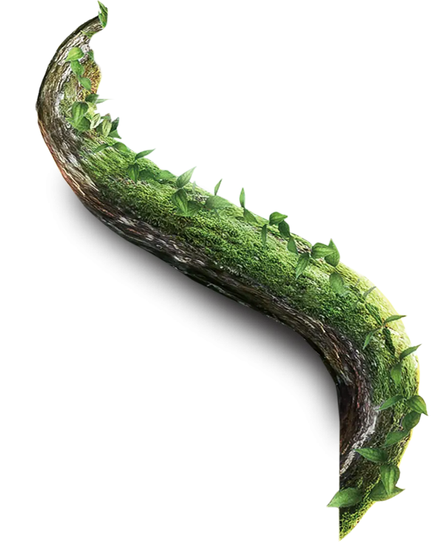 Curved Tree Branch with Moss and Leaves