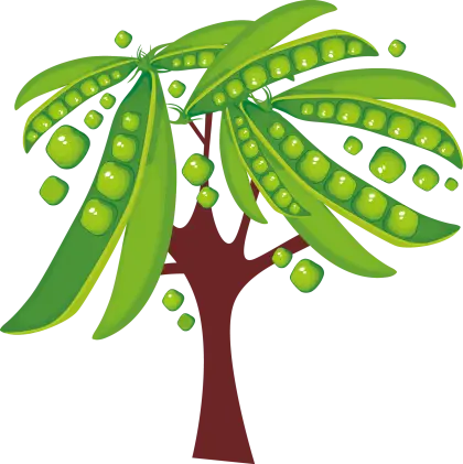 Pea Tree with Pods