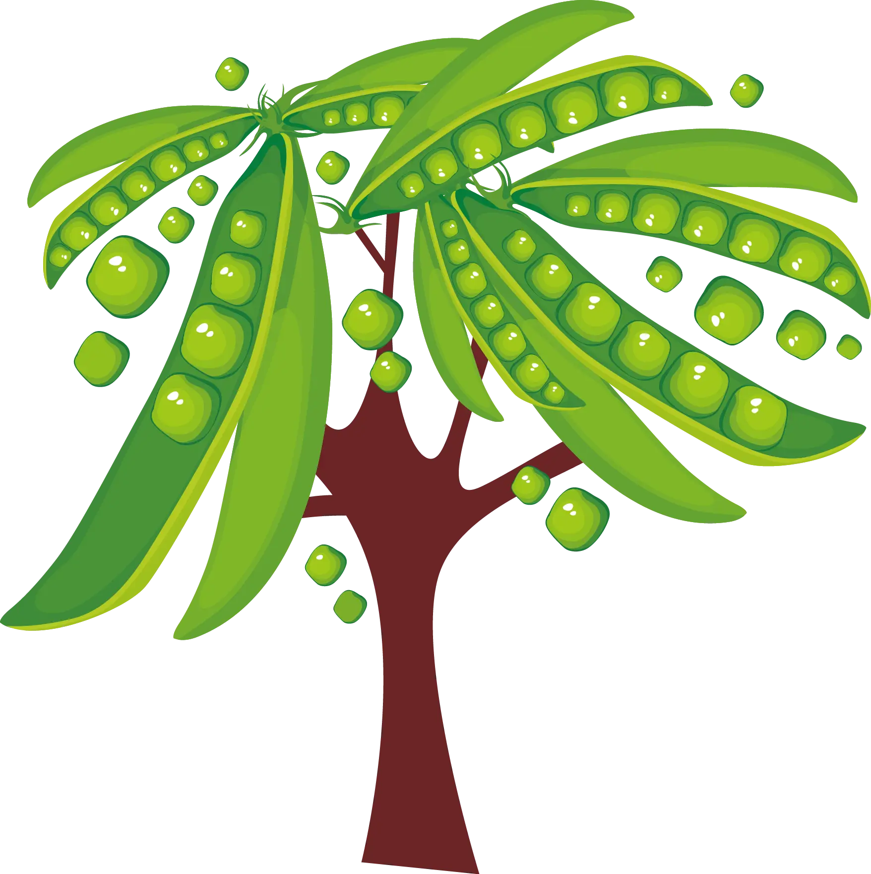 Pea Tree with Pods