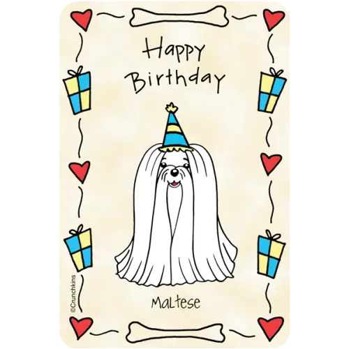 Happy Birthday Card with Maltese Dog