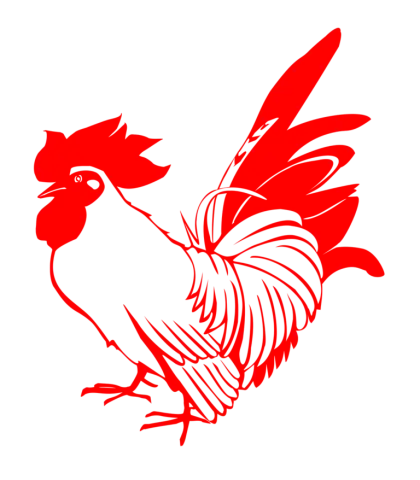 Red Rooster Graphic Illustration