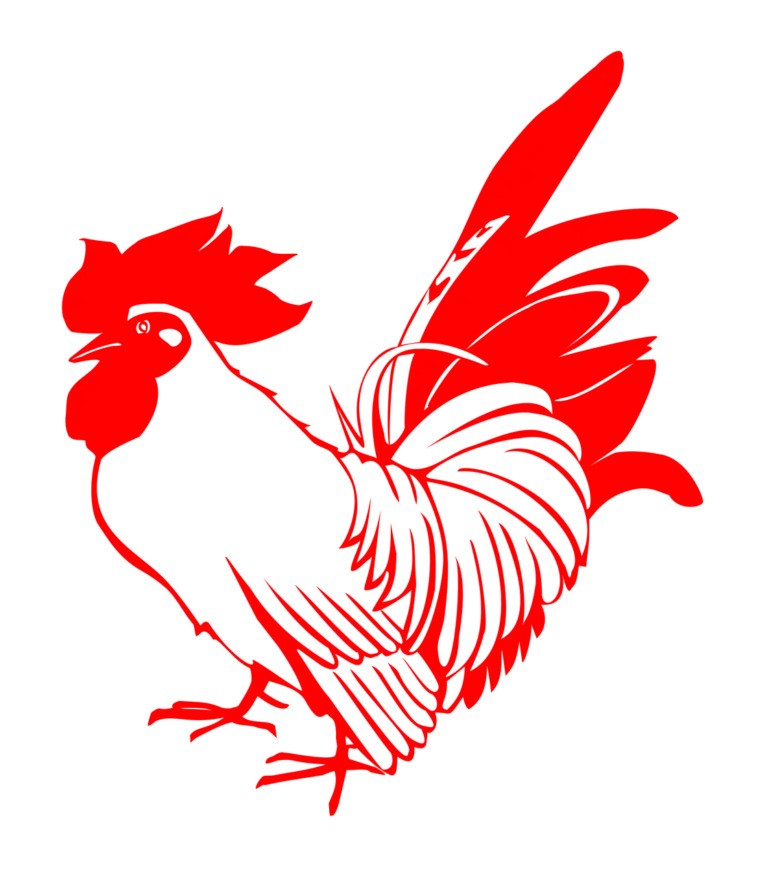 Red Rooster Graphic Illustration
