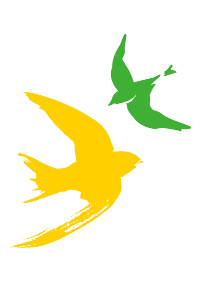 Colorful Birds in Flight