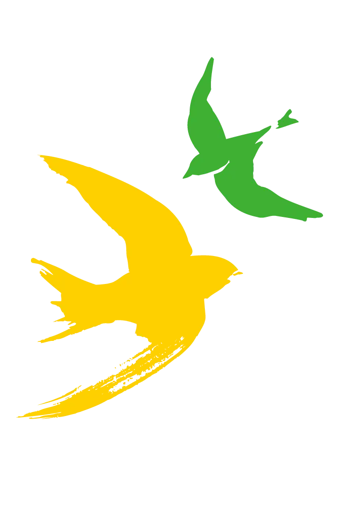 Colorful Birds in Flight
