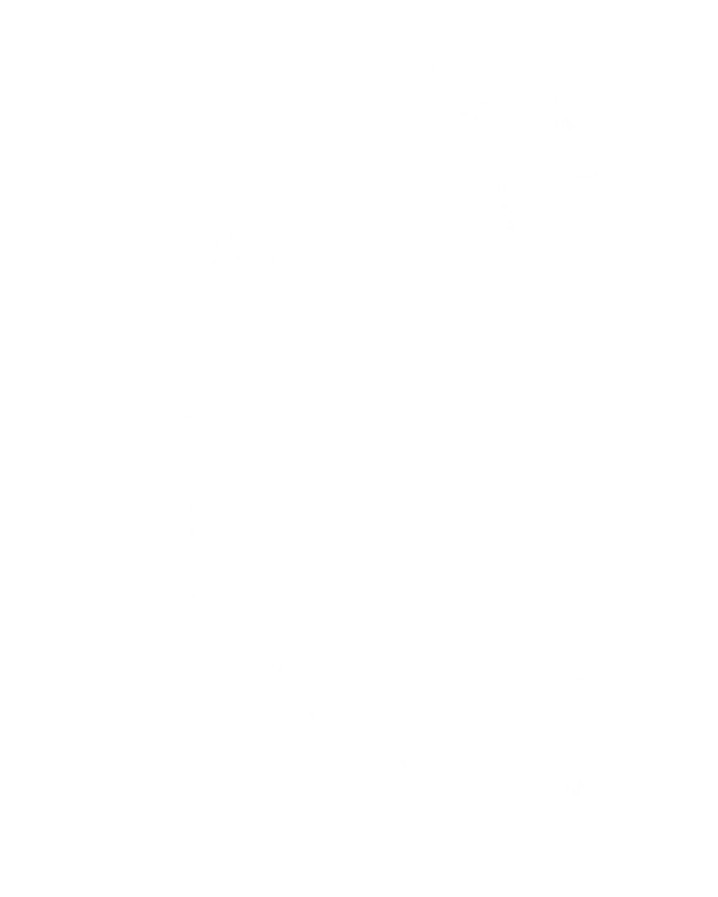 Elegant Transparent Floral Decoration