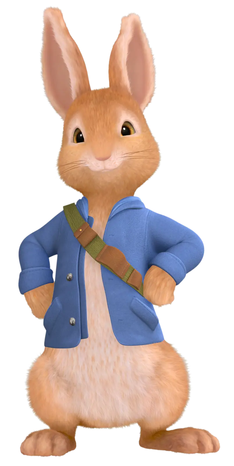 Peter Rabbit in Blue Jacket