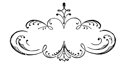 Vintage Ornamental Flourish Illustration