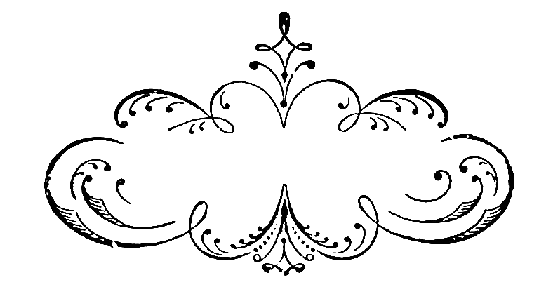 Vintage Ornamental Flourish Illustration