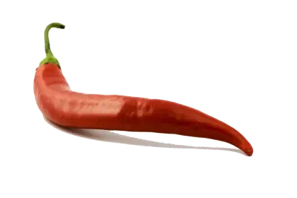 Red Chili Pepper for Spicy Cooking