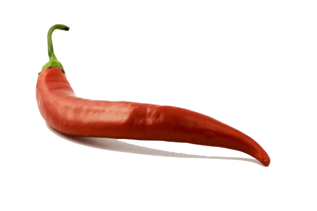 Red Chili Pepper for Spicy Cooking