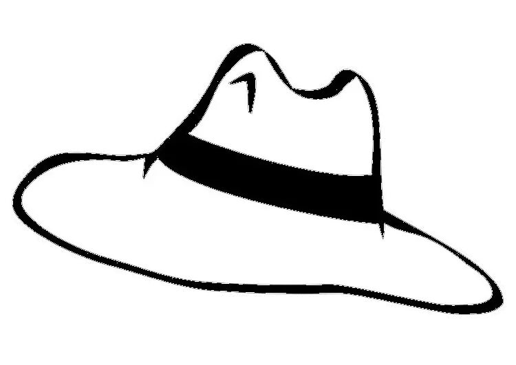 Elegant Hat with Black Band