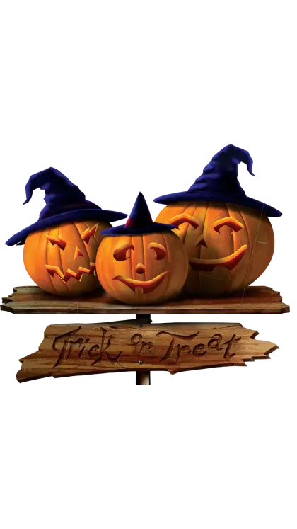 Halloween Carved Pumpkins with Witch Hats