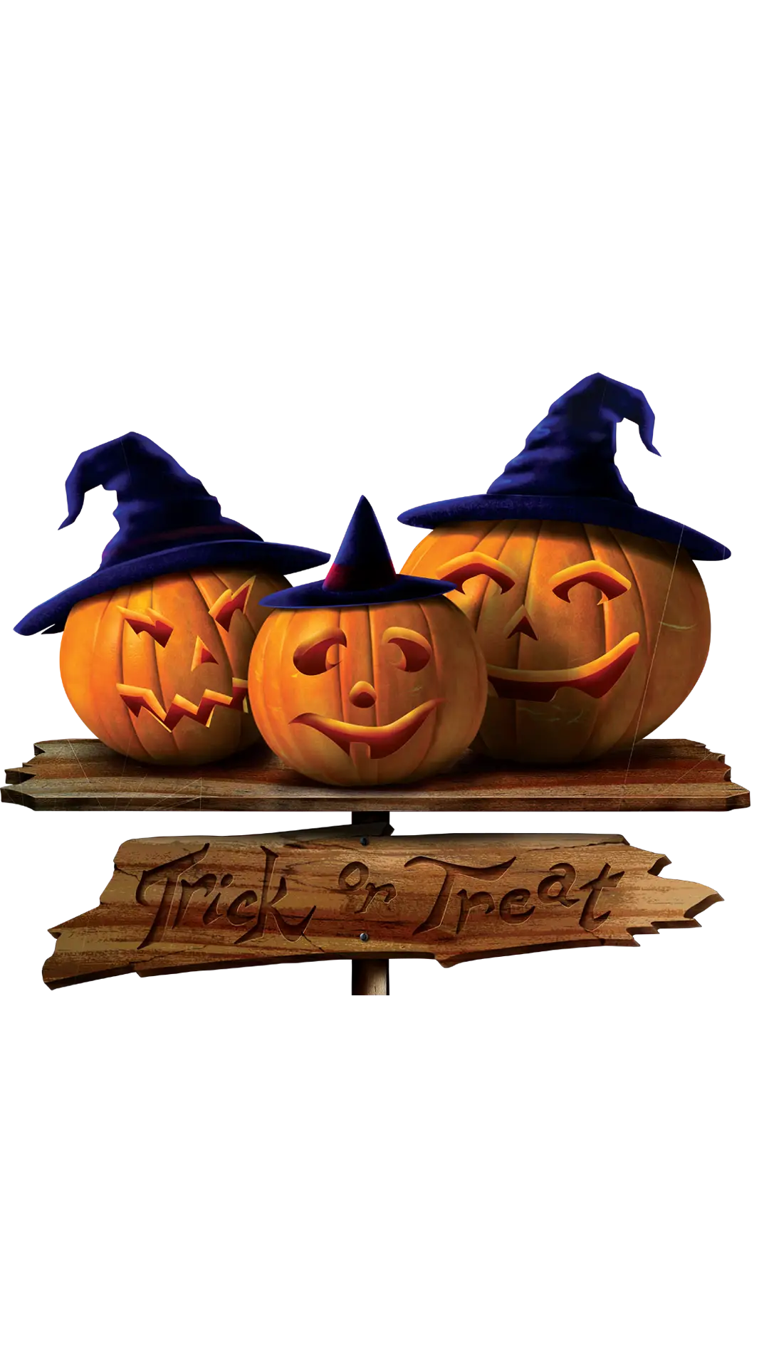 Halloween Carved Pumpkins with Witch Hats