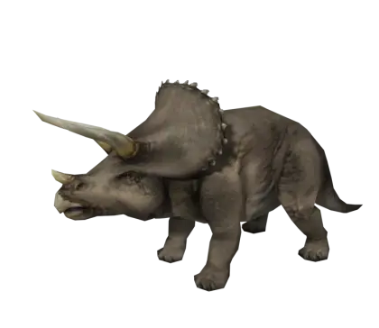 Gray Triceratops Prehistoric Dinosaur