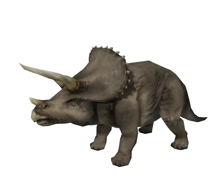 Gray Triceratops Prehistoric Dinosaur