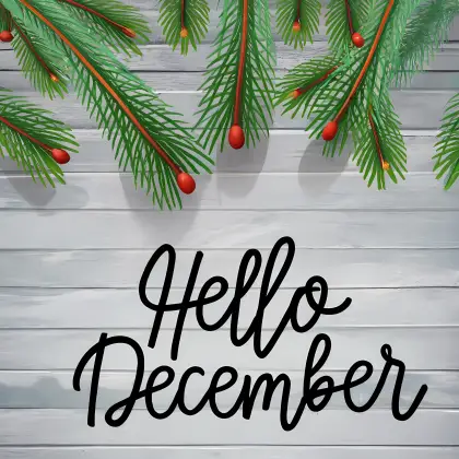 Holiday Pine Branches with Hello December Greeting