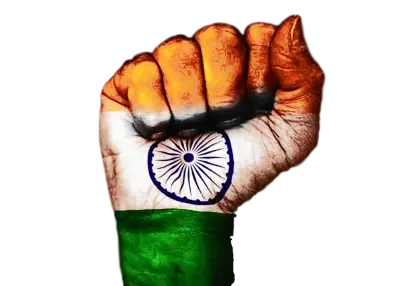 Fist Painted with Flag