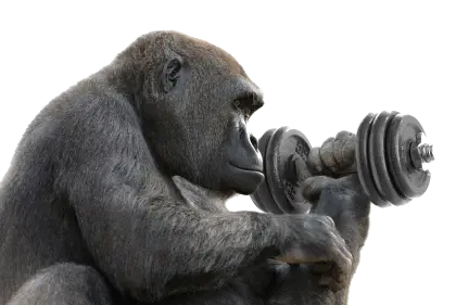 Gorilla Lifting Dumbbell