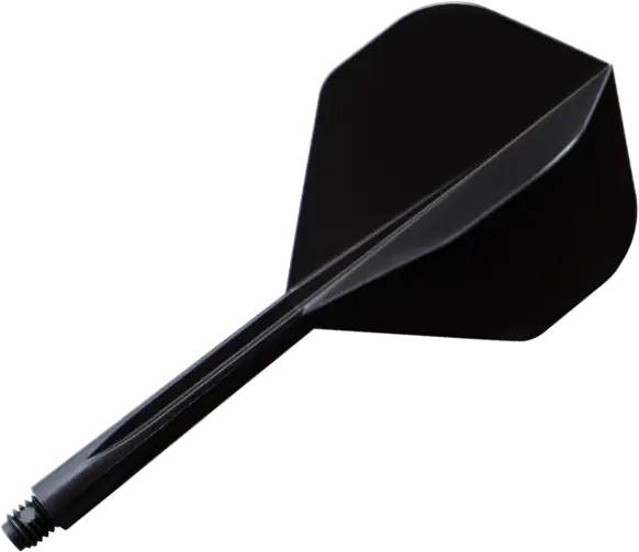 Black Dart for Precision Throwing
