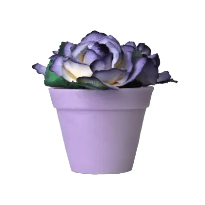 Purple Flower in Pot