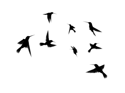 Silhouette of Flying Hummingbirds