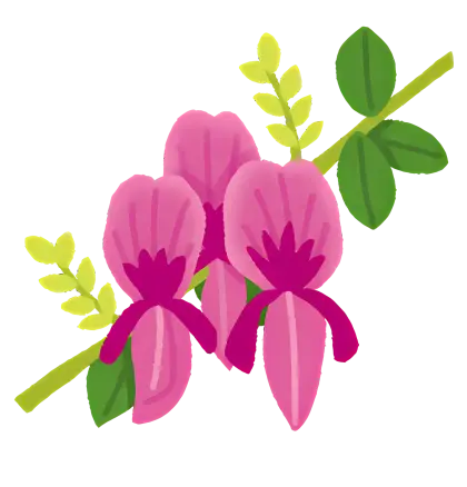 Pink Flowers on Branch with Leaves