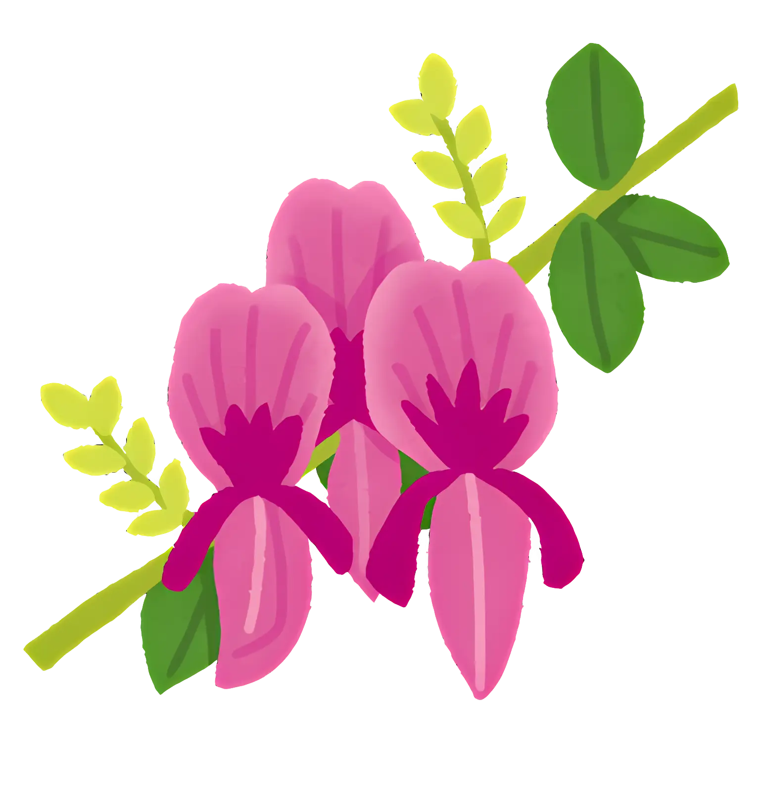 Pink Flowers on Branch with Leaves