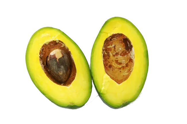 Fresh Green Avocado