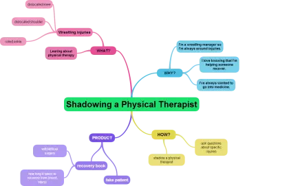 Shadowing a Physical Therapist Mind Map