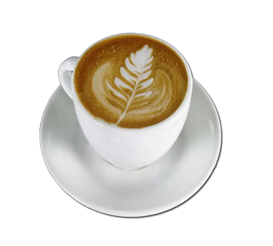 Cup of Coffee with Fern Latte Art