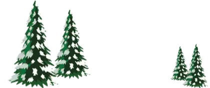 Green Pine Trees Illustration
