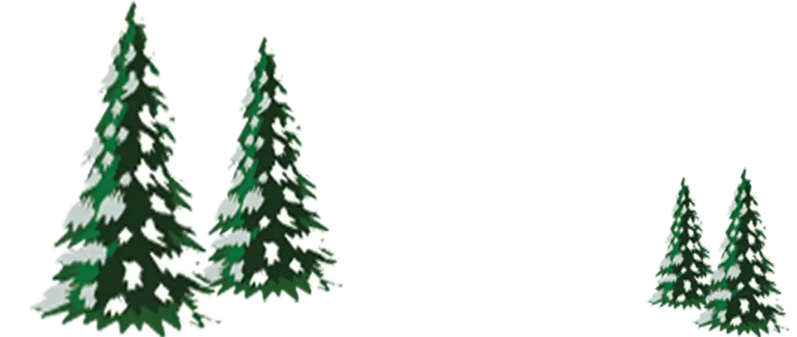 Green Pine Trees Illustration