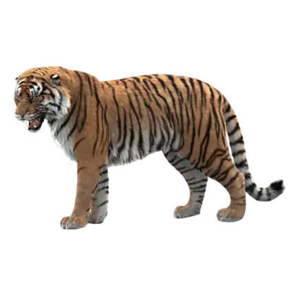 Realistic Tiger in Jungle Habitat