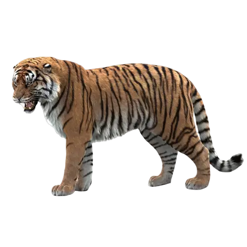 Realistic Tiger in Jungle Habitat