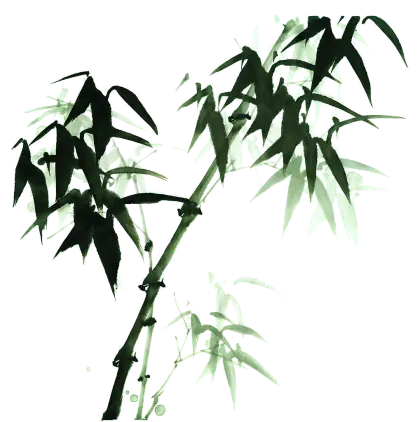 Beautiful Green Bamboo Stem and Leaves