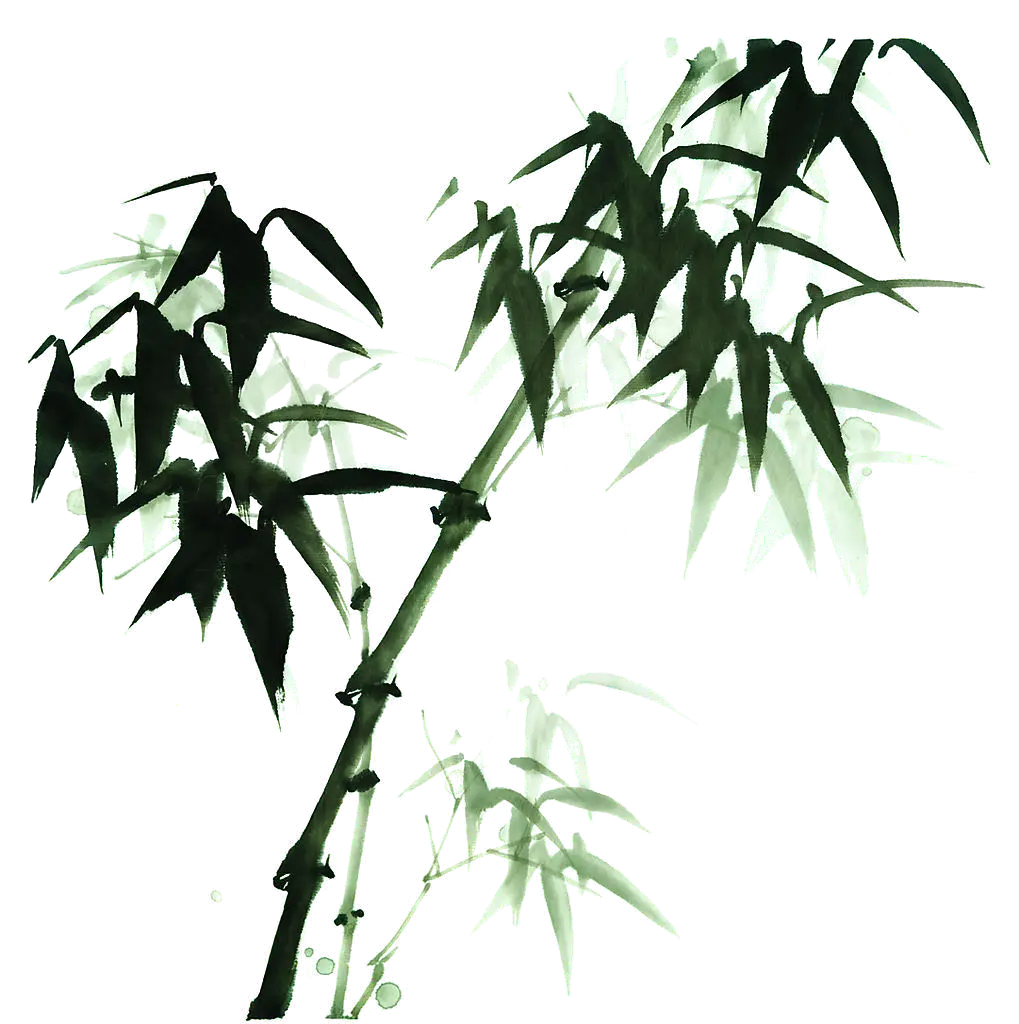 Beautiful Green Bamboo Stem and Leaves
