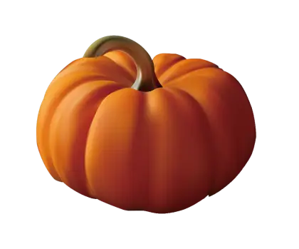 Orange Pumpkin Illustration