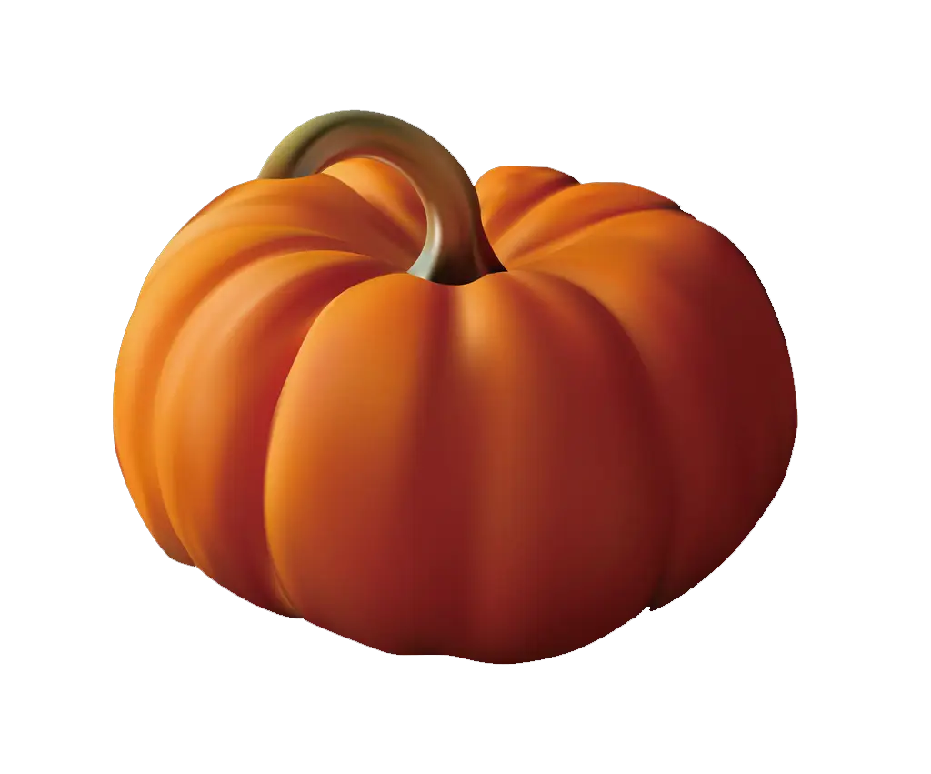 Orange Pumpkin Illustration