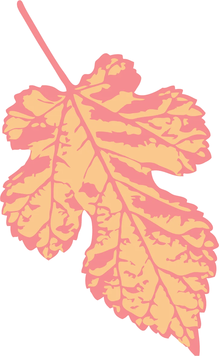 Colorful Autumn Leaf Illustration