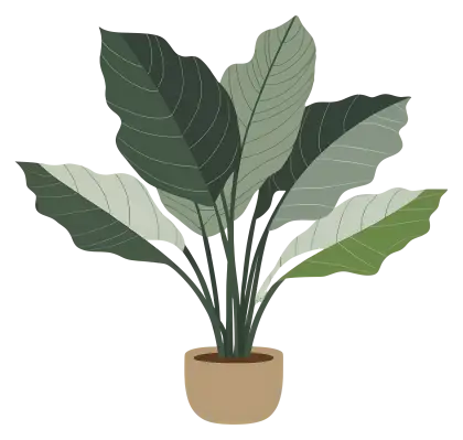 Decorative Indoor Potted Green Plant Illustration