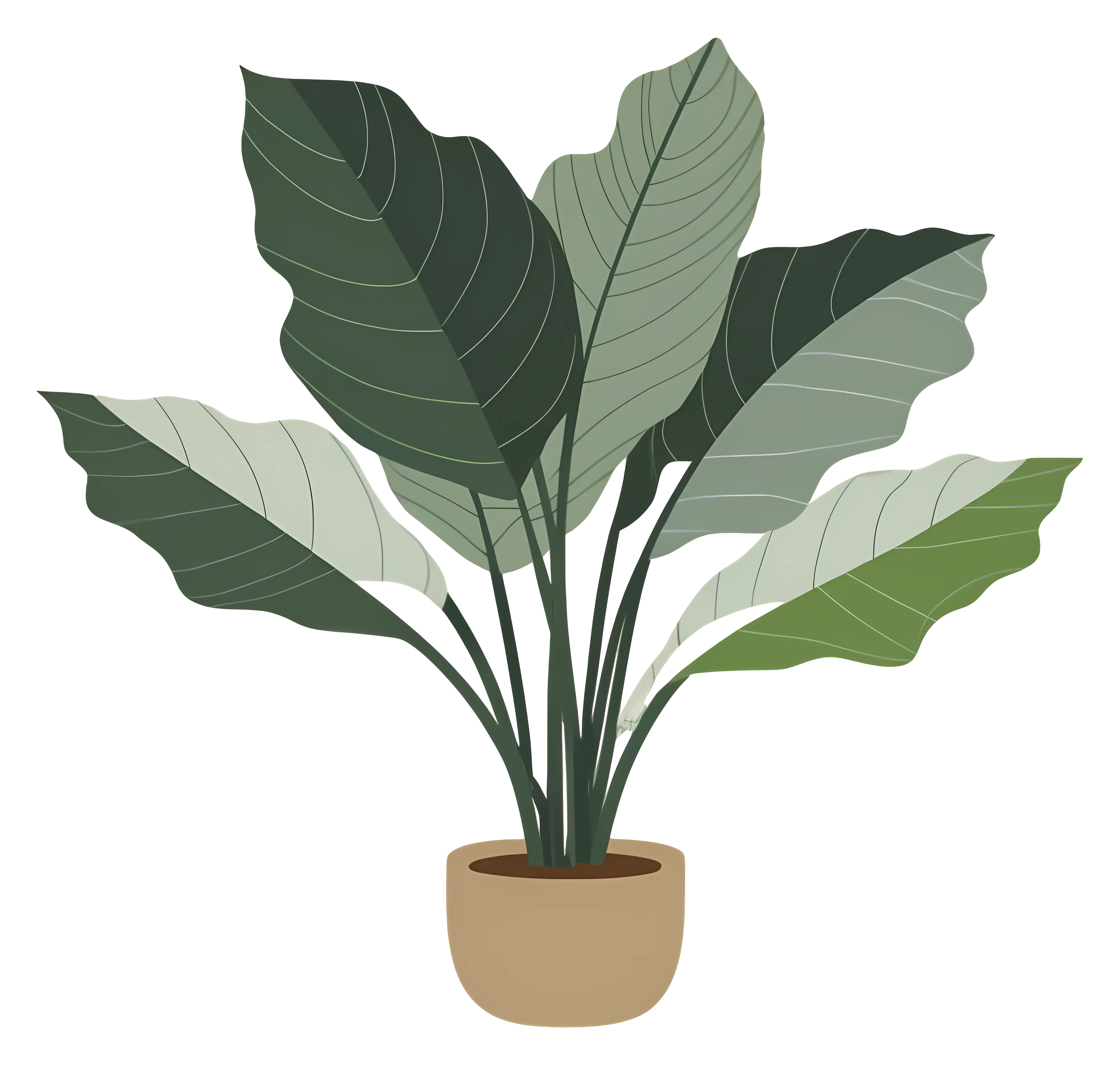 Decorative Indoor Potted Green Plant Illustration