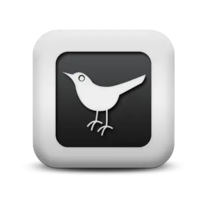 Bird Icon for App