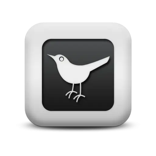 Bird Icon for App