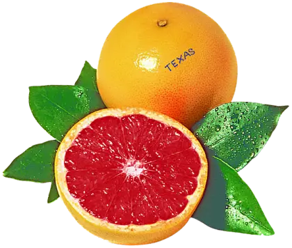 Fresh Juicy Grapefruit with Leaves