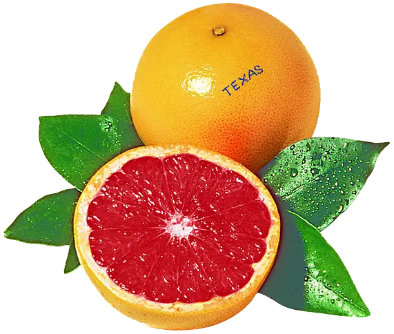 Fresh Juicy Grapefruit with Leaves