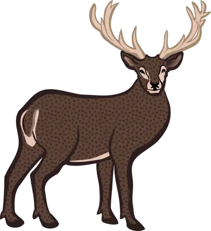 Brown Deer with Majestic Antlers