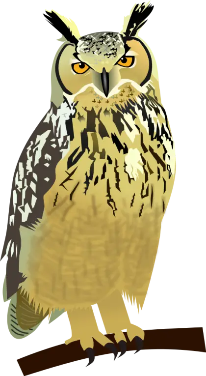 Illustrated Owl Sitting on Branch