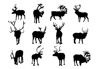 Collection of Deer Silhouettes