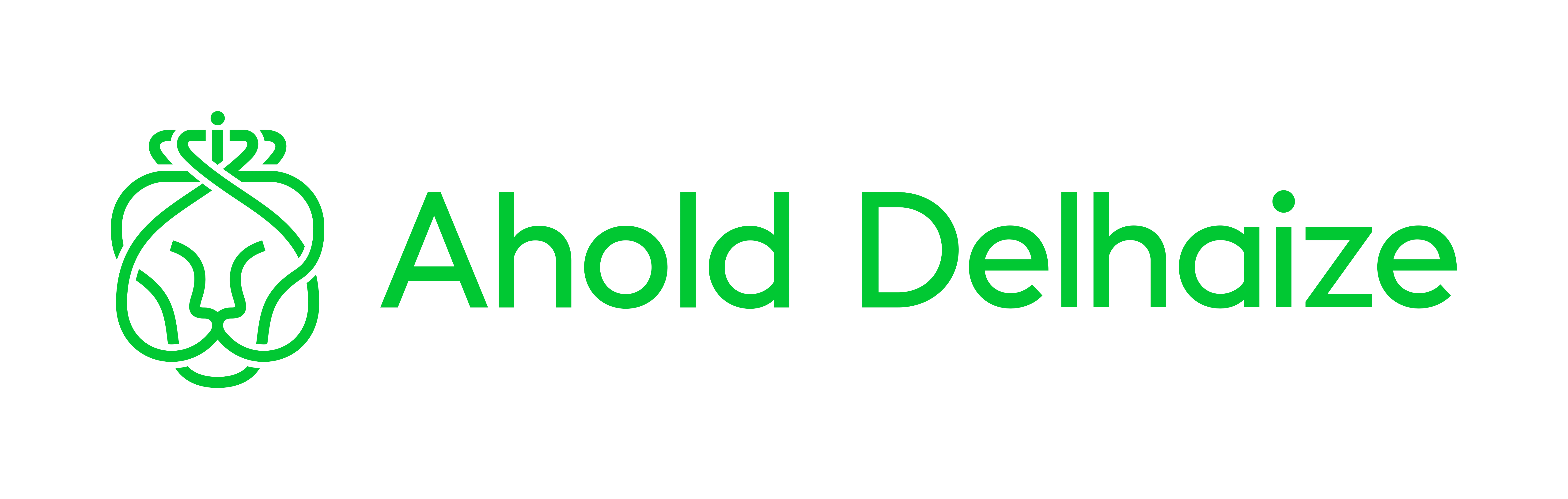 Ahold Delhaize Brand Logo