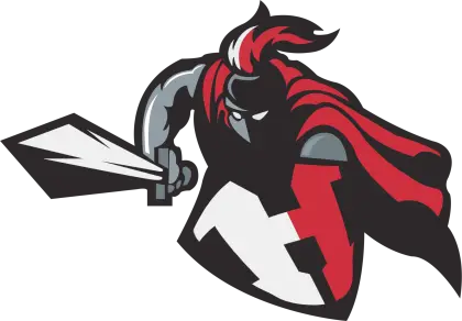 Knight Holding Sword and Shield Graphic